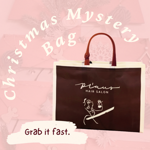 Christmas Mystery Bag $80