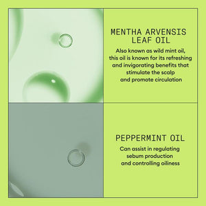 Nioxin SYS2 trial kit (100mL + 100mL + 40mL)