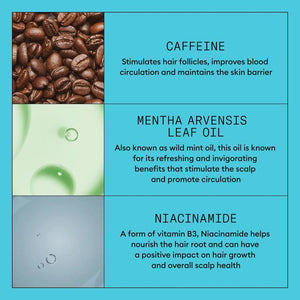 Nioxin SYS3 trial kit (100mL + 100mL + 50mL)