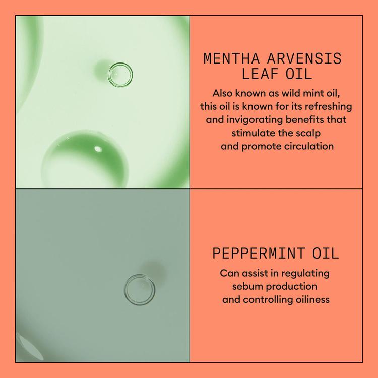 Nioxin SYS 4 trial kit (100mL + 100mL + 40mL)